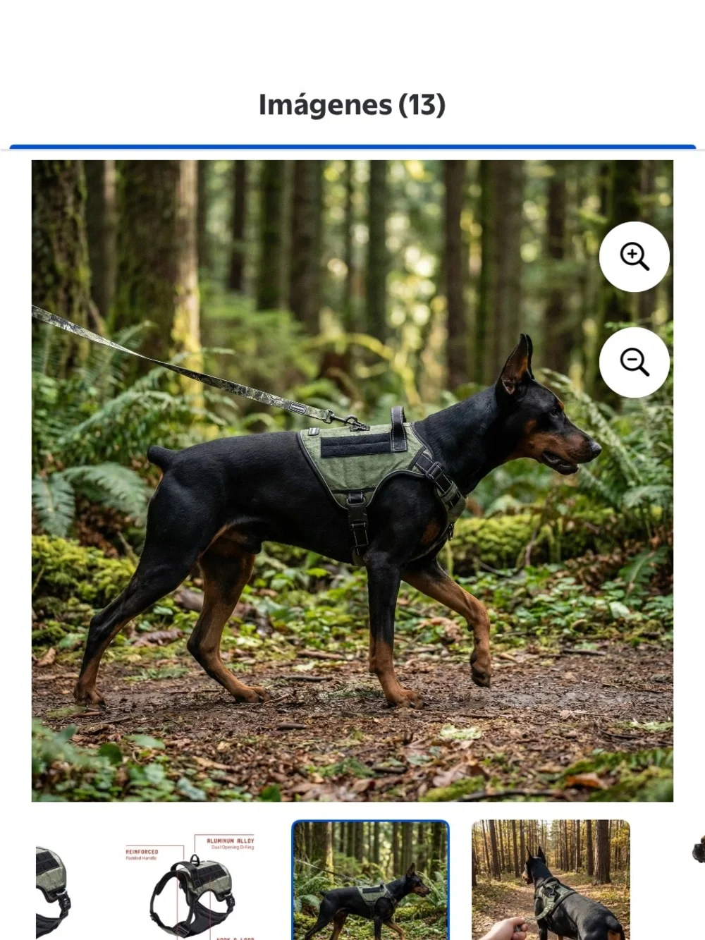 Harness Dog Vest Harness in Olive Green with Black Trim